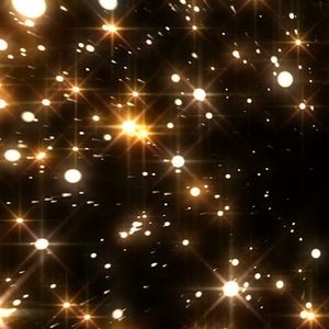 Meet your Posher, Parker